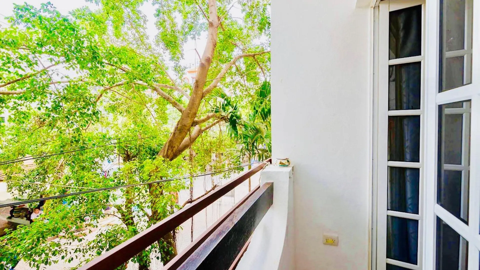 Pancho Double Room Dolce Vita Caribe Beach B&B Playa del Carmen Mexico