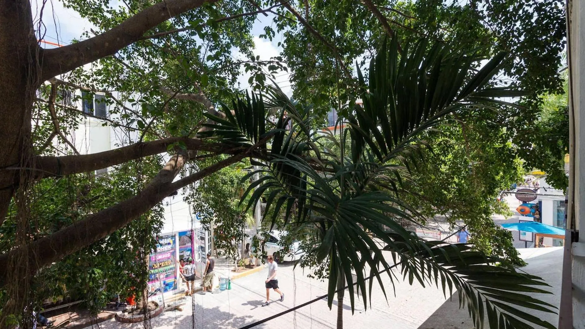 Apartment Pancho Double Room Dolce Vita Caribe Beach B&B Playa del Carmen
